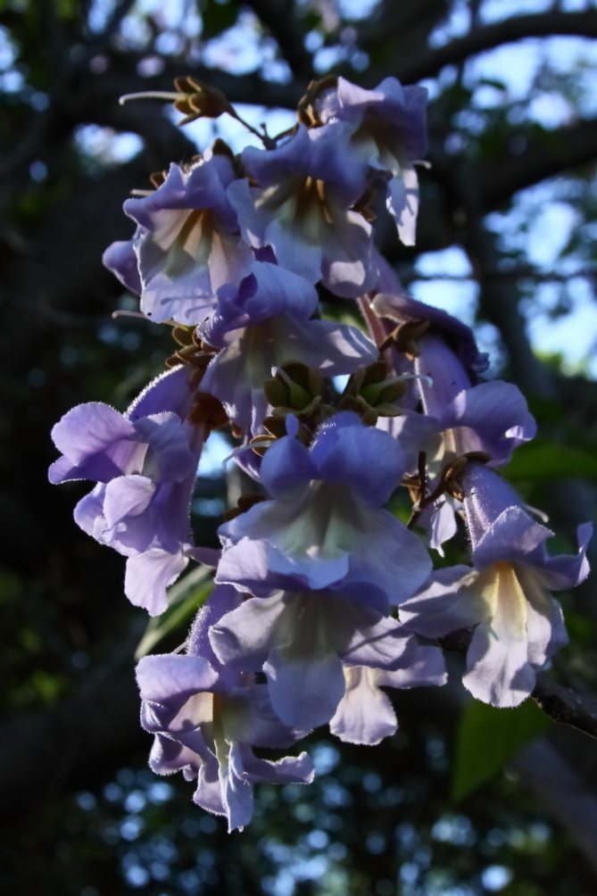 2012 05 19 3567